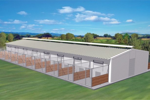 καταφύγιο ζώων