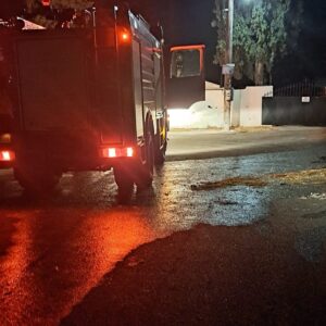 Σοκ στη Χαλκίδα: Ζωντανός σκύλος κάηκε ζωντανός σε κάδο απορριμμάτων- 90fm.gr-evripos